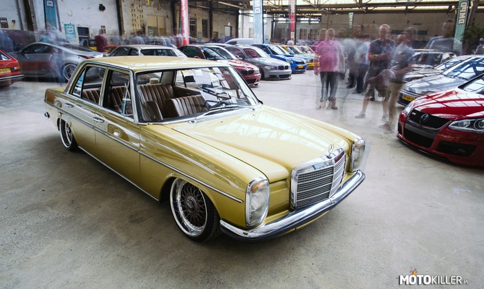 Mercedes W115 –  