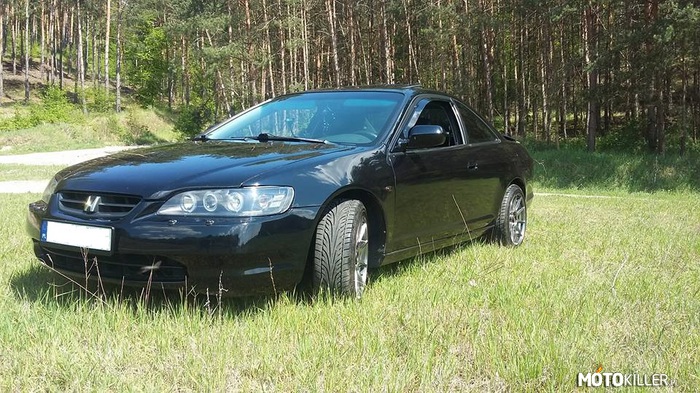 Accord Coupe Lubuskie – Mój bolid. 