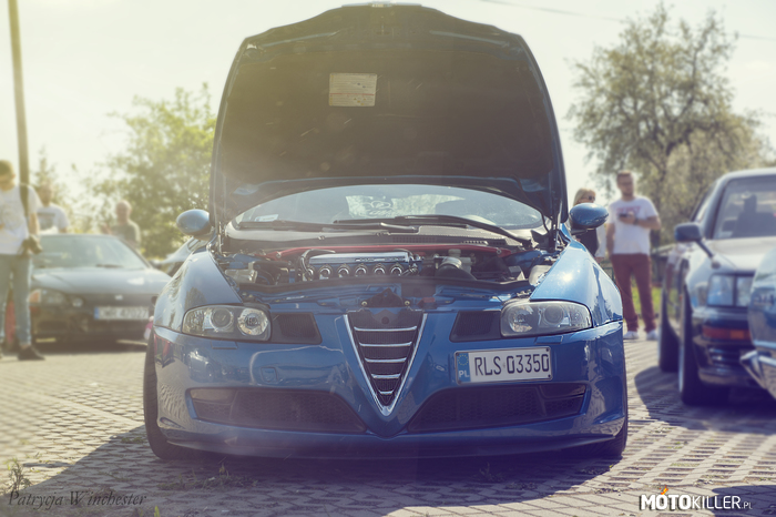 Alfa Romeo GT –  