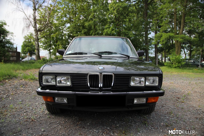 BMW E28 – Tajfun Grill 