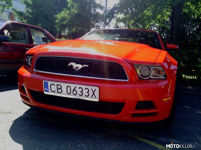 Mustang – Rok produkcji 2013, 3.7 litra, 305 koni mechanicznych. 