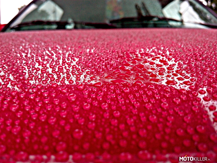 Kropelki! Kropelki wszędzie! – Efekt kropelkowania po zabezpieczeniu lakieru na moim samochodzie przed zbliżającą się jesienną niepogodą. 
