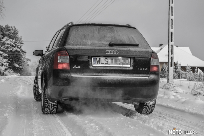 Audi A4 B6 – W zimowej scenerii 
