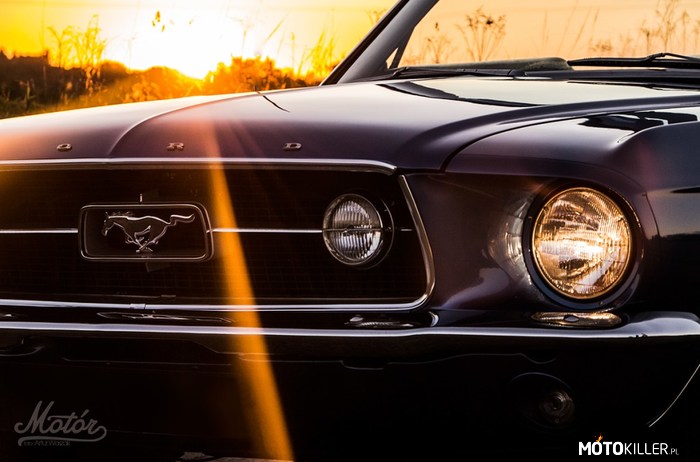 Ford Mustang 1967 – Fajnie opisana historia amerykańskiej legendy, polecam źródło. 