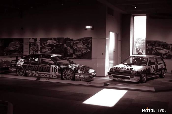 Honda Collection Hall – Castrol Accord CD6 i Mugen Motul E-At w muzeum Hondy. 