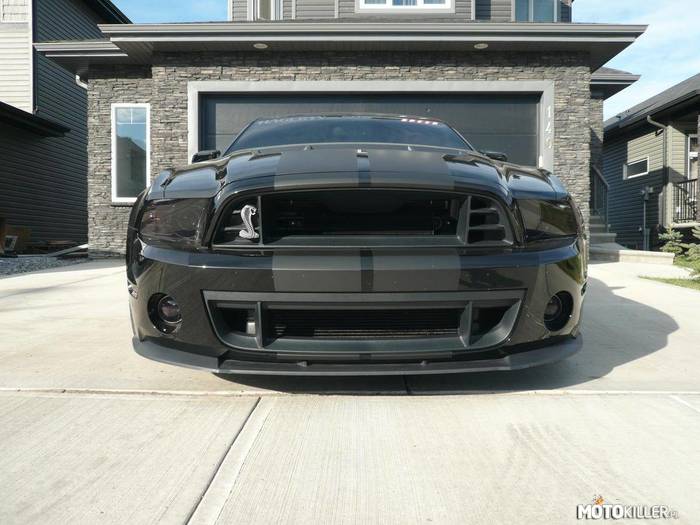 Shelby GT500 Hagerty –  