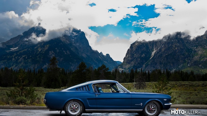 Ford Mustang GT Fastback 1966 –  