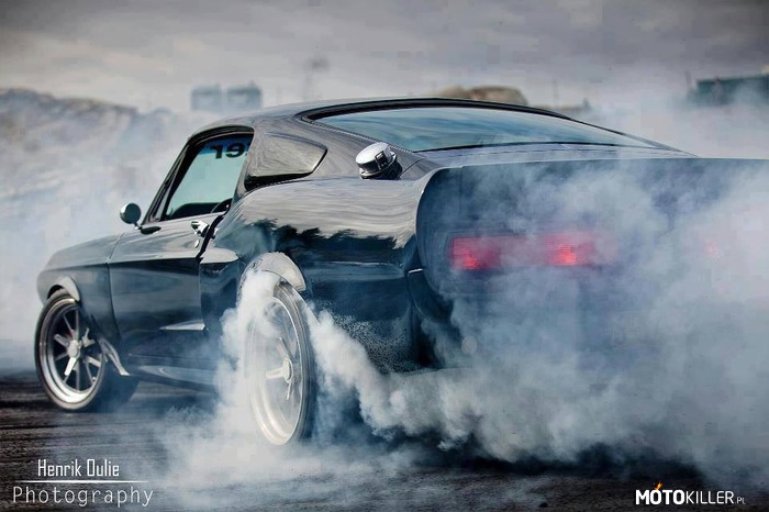 Shelby GT500 burnout –  