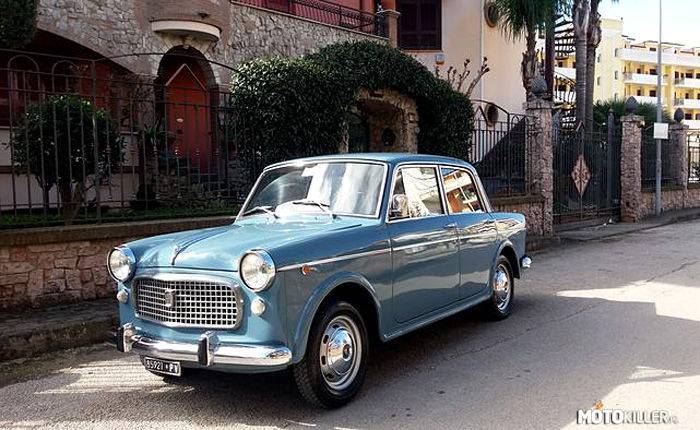 Fiat 1100 Special –  