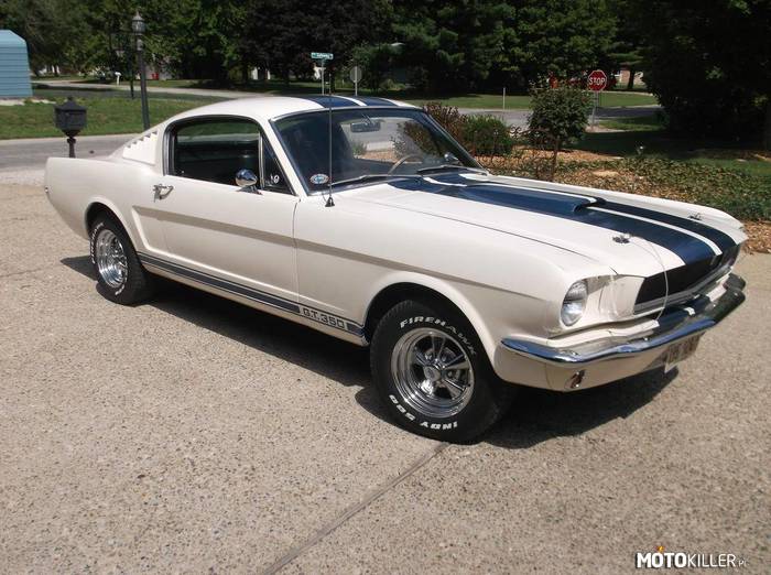 Ford Mustang Shelby 350 –  
