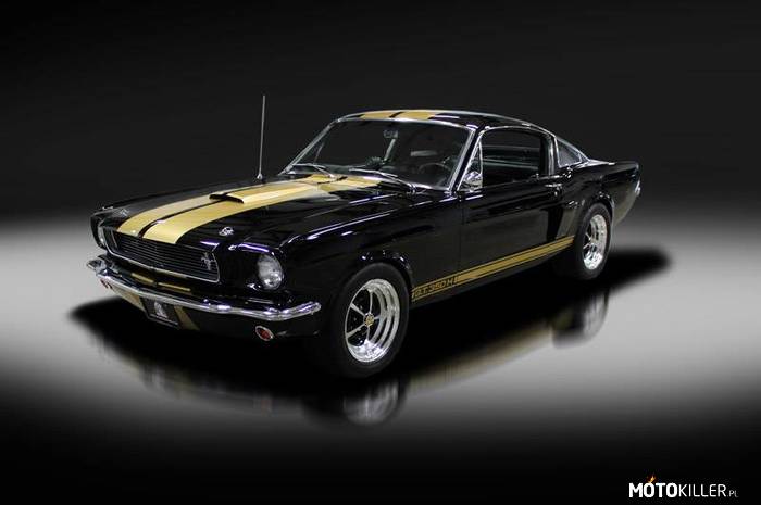 Ford Mustang SHELBY GT350H CUSTOM –  
