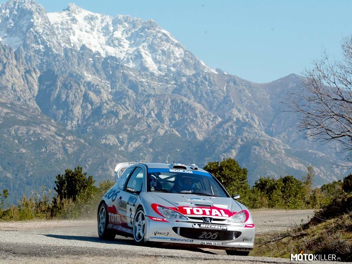 Peugeot 206 WRC –  