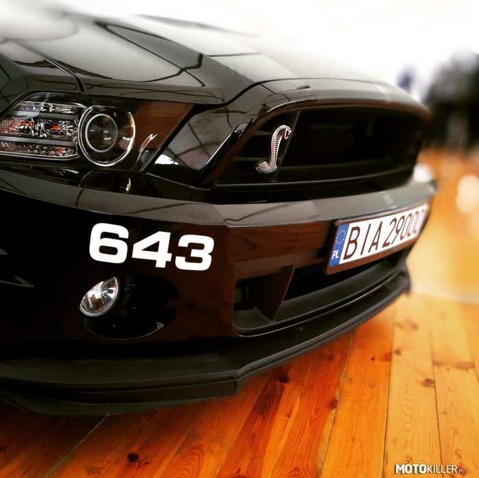 Shelby Gt500 – Verva Street Racing 
