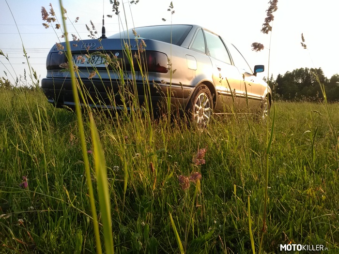 Audi 80 2.6 v6 abc od Ghost666 – Coś w trawie piszczy  