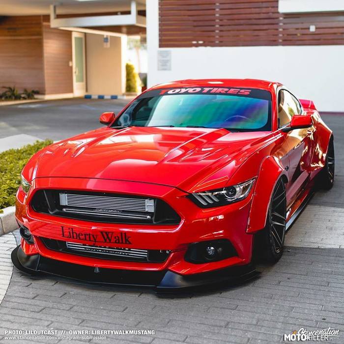 Mustang –  