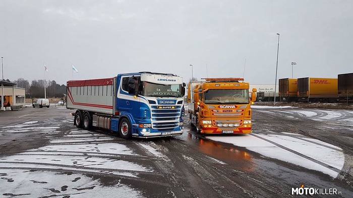 Scania R560 V8 &amp; Scania S-u-p-e-r –  