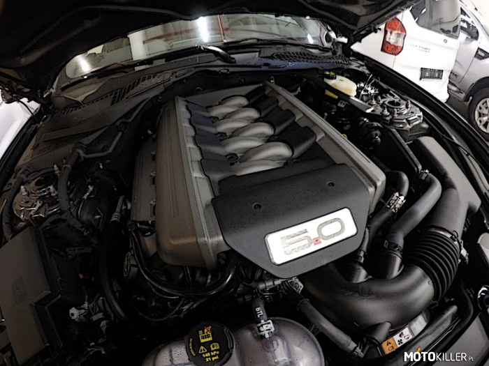 Ford Mustang 2015 – Solidne serducho, 5.0 V8. 