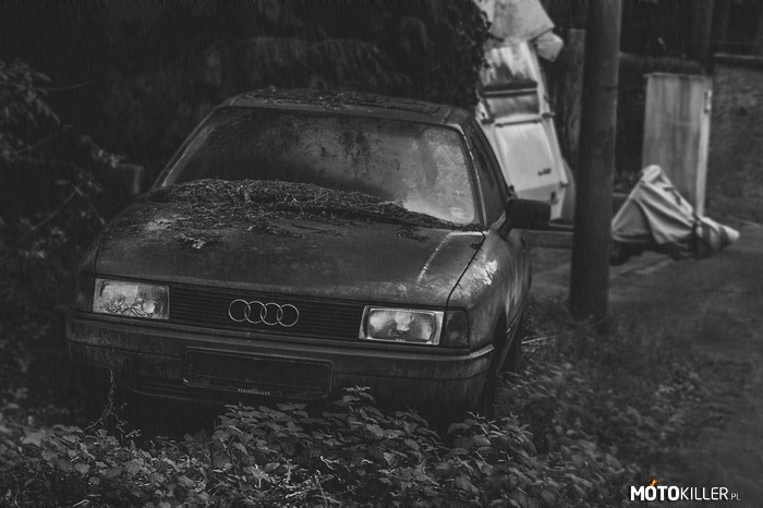 Audi 80 – Mimo że tyle ich na naszych drogach, to tej dalej szkoda.
Amotive.pl 