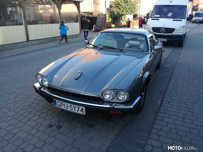 Jaguar XJS – Brytyjski kociak nad polskim morzem 