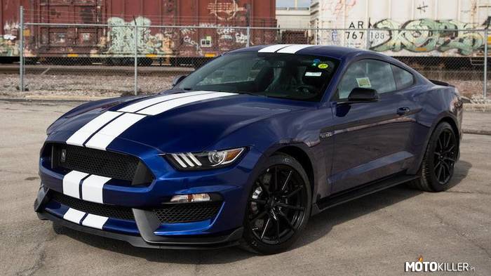Shelby GT350 50th Anniversary –  