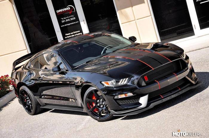 Shelby GT350 R –  