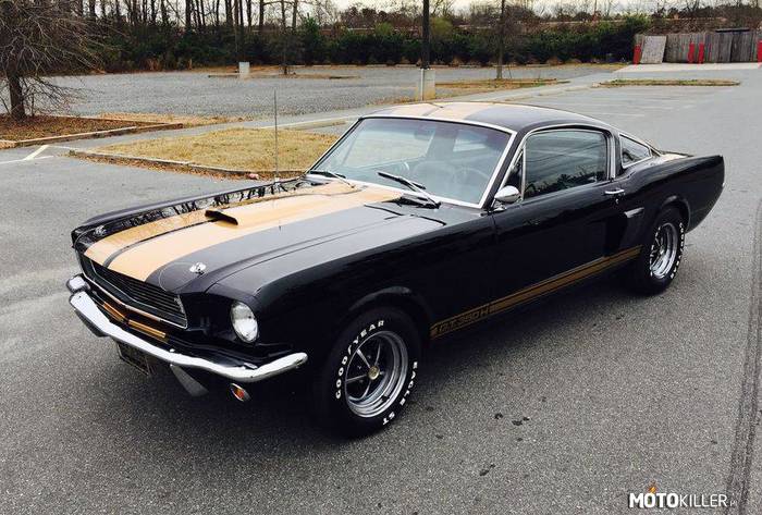 Shelby GT350H –  