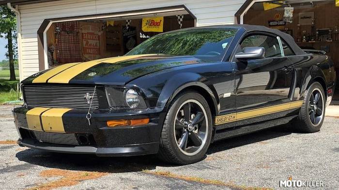 Shelby GT –  