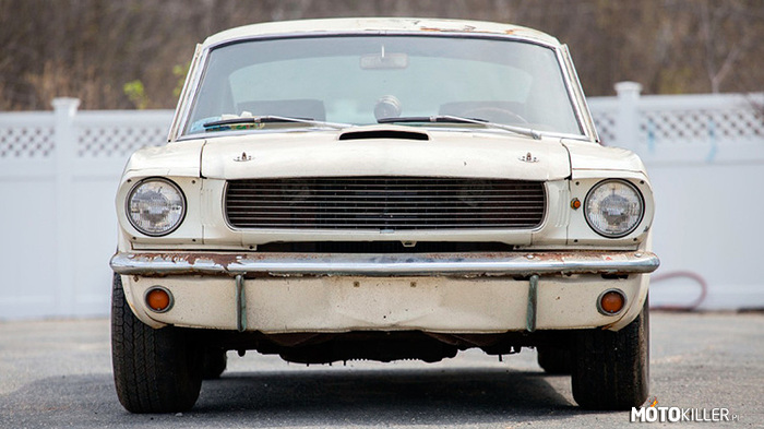 Shelby Mustang GT350 – 1965 Shelby Mustang GT350 
