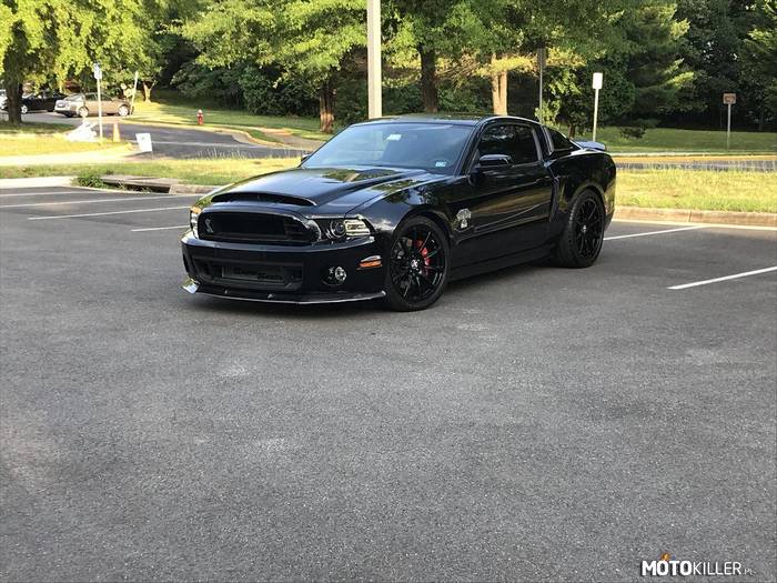 Ford Shelby Mustang Super Snake –  