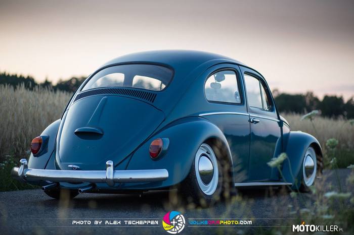 Piękno tkwi w prostocie – VW Garbus 