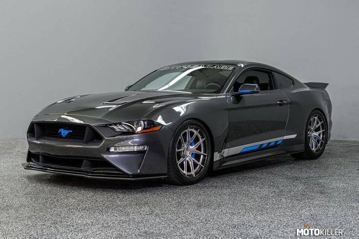 Ford Mustang Petty Track King –  