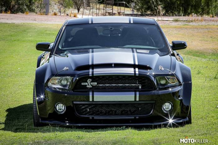 Ford SHELBY GT500 SUPER SNAKE –  
