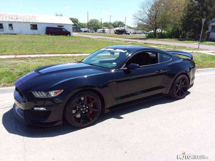 Ford Shelby Mustang GT350R –  