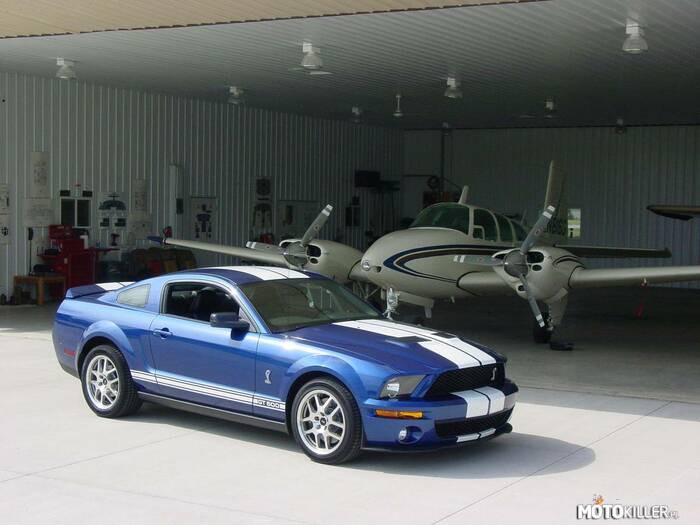 Ford Shelby Mustang GT 500 –  
