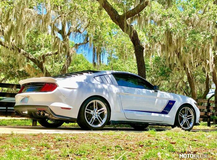 Ford Roush Mustang –  