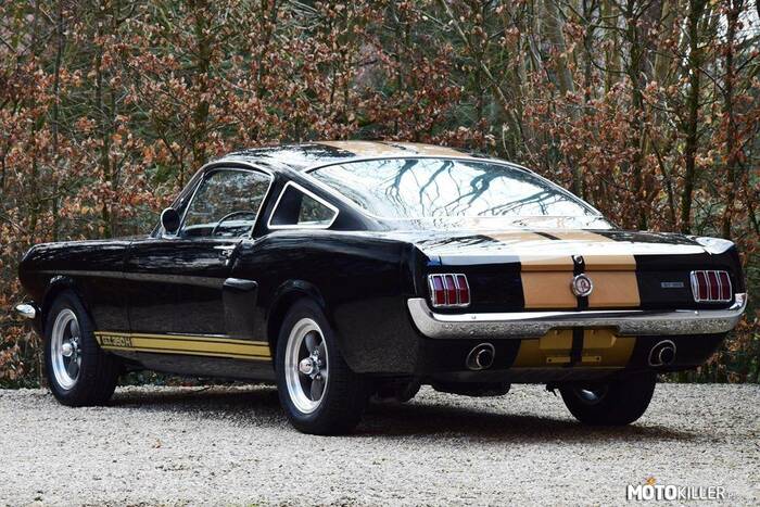 Ford Mustang Shelby GT350H –  