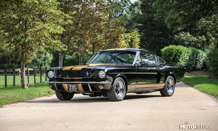 1966 Ford Mustang Fastback GT350 –  