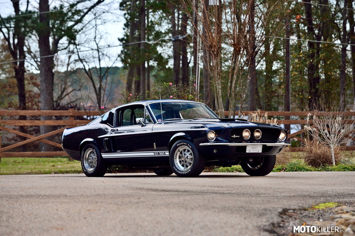 1967 Ford Mustang Shelby GT350 Fastback –  
