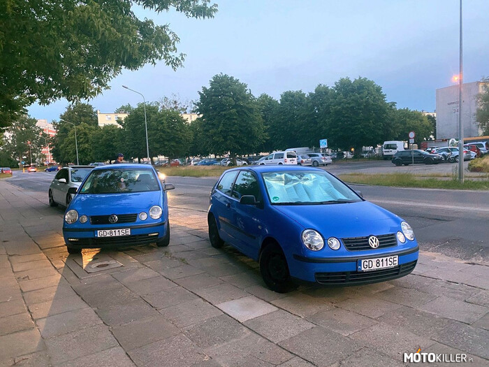 Gdańsk. Dwa auta na tych samych tablicach – Pani Agnieszka na jednej z gdańskich ulic natknęła się na niemal identycznie wyglądający samochód jak jej niebieski Volkswagen Polo. 