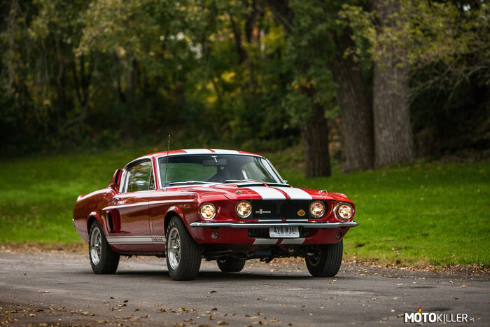 1967 Ford Mustang Shelby GT500 –  