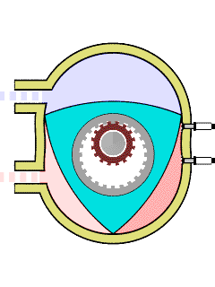 Silnik Wankla – Silnik ten został opracowany przez Felixa Wankla w 1954 roku. Silnik ten jest zbudowany z mimośrodowo umieszczonego w eliptycznym cylindrze tłoka w kształcie trójkąta o lekko zaokrąglonych bokach.

W zależności od kąta obrotu tłoka komory cylindra zmieniają kształt i objętość. W czasie jednego obrotu wału, silnik wykonuje 3 cykle pracy. Silnik dwusuwowy wykonuje w czasie jednego obrotu wału jeden cykl pracy, czterosuwowy zaś na jeden cykl pracy potrzebuje dwóch obrotów wału.
 Przeniesienie ruchu tłoka na wał odbywa się przez przekładnię zębatą o zazębieniu wewnętrznym. Przy czym koło zębate większe jest częścią tłoka, a mniejsze częścią wału napędowego.

zalety	              
małe rozmiary	
zwarta konstrukcja	
ogromna moc jednostkowa
równomierna praca
	wady
duże spalanie paliwa
duże spalanie oleju
problemy z uszczelnieniem
słabe materiały konstrukcyjne

Z powodu dużych wad konstrukcyjnych i technologicznych wszelke próby rozpowszechnienia tego silnika kończyły się niepowodzeniem.

Razem z rozwojem techniki firma Mazda wyprodukowała model RX-7 napędzany tym właśnie typem silnika. Obecnie już nieprodukowany model RX-7 zastąpiony został nowszym modelem RX-8, w którym również zastosowano silnik Wankla o nazwie Renesis. Wielokrotnie zdobył nagrody za najlepszy silnik roku.

Obecnie Mazda testuje ten silnik napędzając go... wodorem (RX-8 Hydrogen RE concept car). Będzie to bardzo ciekawy koncept, o ile ujrzy światło dzienne. 