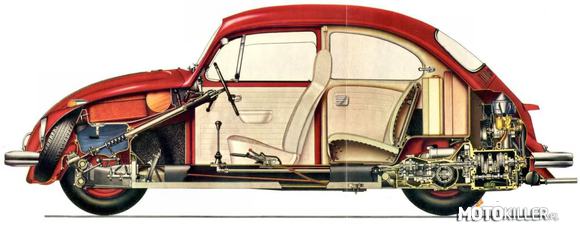 VW Beetle – Volkswagen Typ 1, szerzej znany jako Volkswagen Beetle czy też Volkswagen Garbus – kompaktowy samochód osobowy produkowany przez niemiecką markę Volkswagen (VW) w latach 1938-2003. Z ponad 21.000.000 wyprodukowanymi egzemplarzami w konfiguracji: chłodzony powietrzem silnik umieszczony za osią tylną z napędem tylnym, Garbus był najdłużej i najliczniej produkowanym modelem samochodu w historii motoryzacji.
Łącznie wyprodukowano 21.529.464 egzemplarzy modelu (z czego 15.444.858 w Niemczech - w tym 330.251 kabrioletów, około 3.350.000 w Brazylii). 
