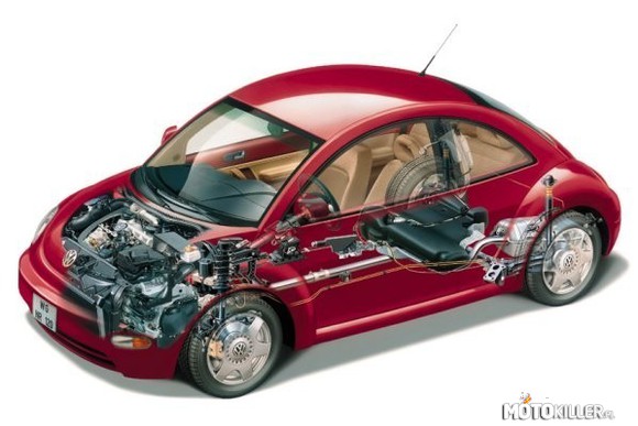 Przekrój auta - Volkswagen New Beetle –  