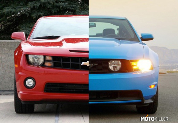 Pojedynek – Kto za Camaro - lubię to
Kto za Mustangiem - jest moc 