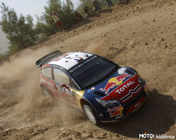 Rajdy WRC – Ilu tu jest fanów tych wyścigów? 