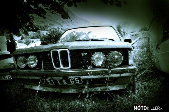 BMW e 30 – Zaopiekowałbym się taką Bunią... 