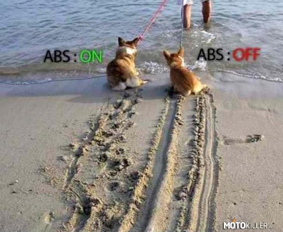 Jak działa ABS... – hahaha 
