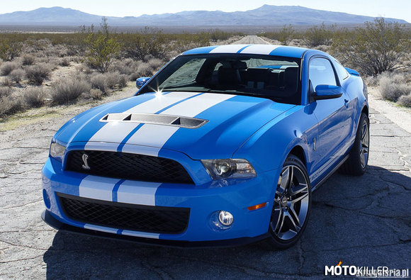 Shelby gt500 2009r. –  