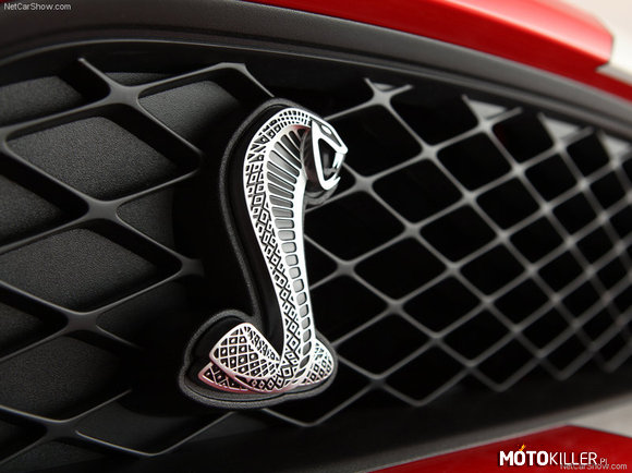 Shelby Mustang logo –  