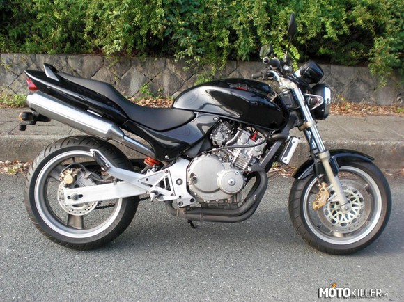 Honda Hornet 250 – Poszukuje takiego motocykla ale nigdzie nie moge go zaleźć! :(
Pomożecie?! 